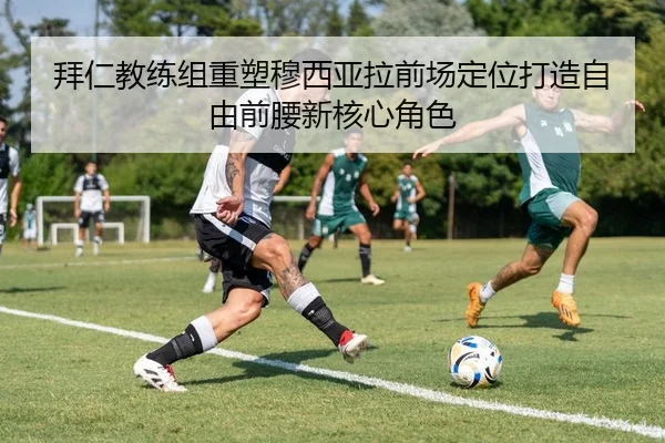 img_1783141034303_56_1_849.jpg